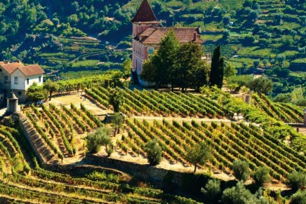 “Vineyards by Christie’s” to offer consultative service for those looking to acquire vineyards