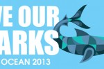 ‘Shark Parks’ – a new concept in marine conservation