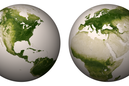 How much of the earth is covered in living plants?