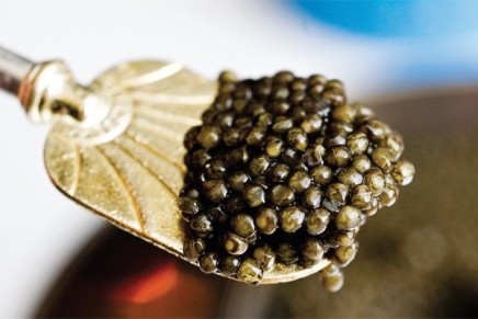 The American palate re-educated with caviar