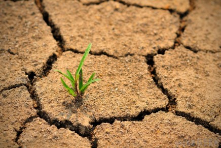 Preventing desertification via smartphone