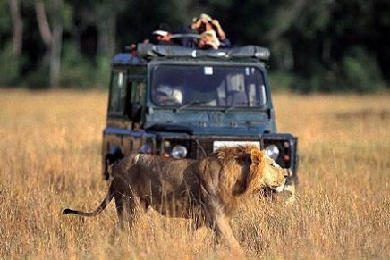 The Masai Mara: ‘It will not be long before it’s gone’