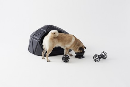 Heads or tails. Nendo accessories for the contemporary canine