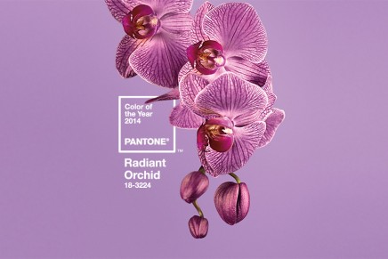 Radiant Orchid revealed as color of the year