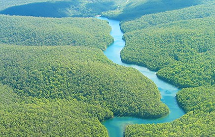 Is digital really greener than paper?