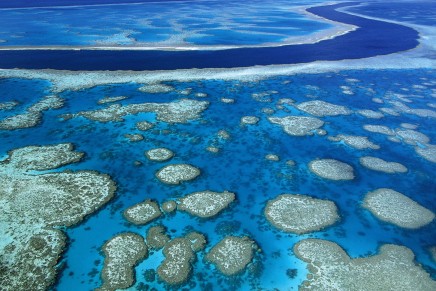 Could bankers save the Great Barrier Reef?