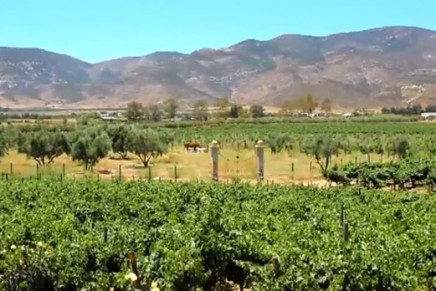 Mexico’s exciting new wine trail: Valle de Guadalupe