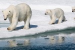 Let’s not turn the Arctic into an adventure playground