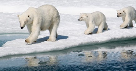 Let’s not turn the Arctic into an adventure playground