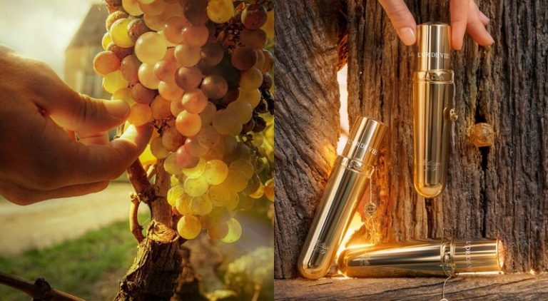 Luxury Recommendation