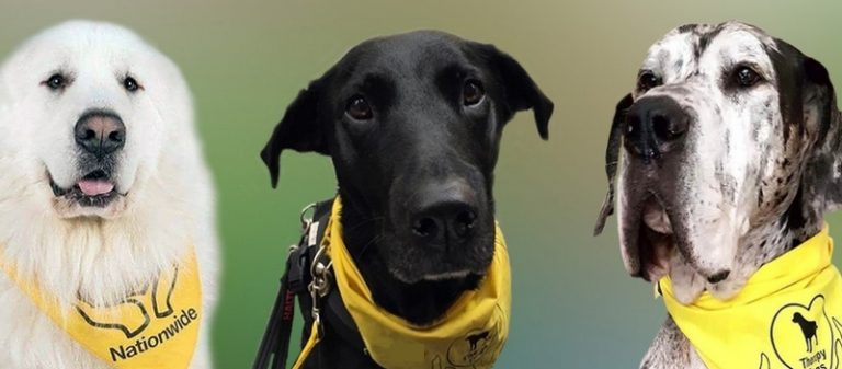 Luxury Recommendation