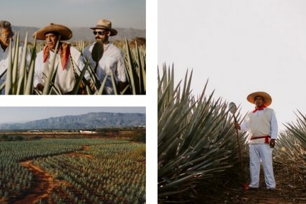 Whiskey or tequila? Why not both? Latest premium tequila launches for discerning agave spirit aficionados