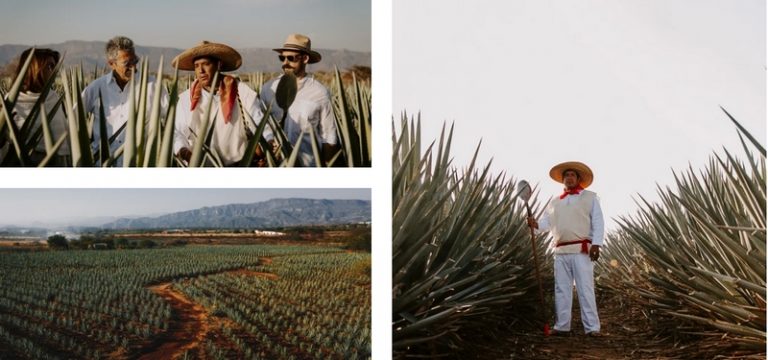 Luxury Recommendation