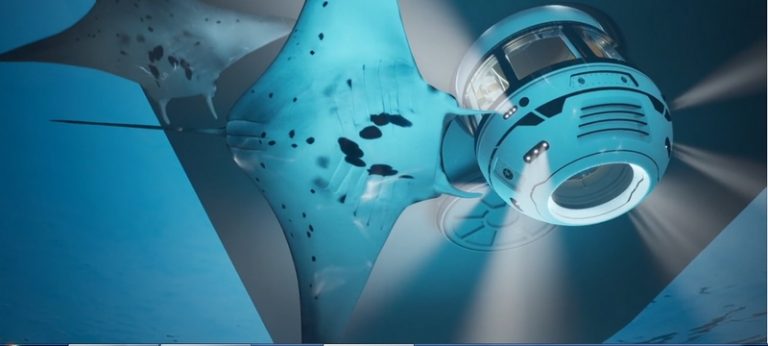 Luxury Recommendation