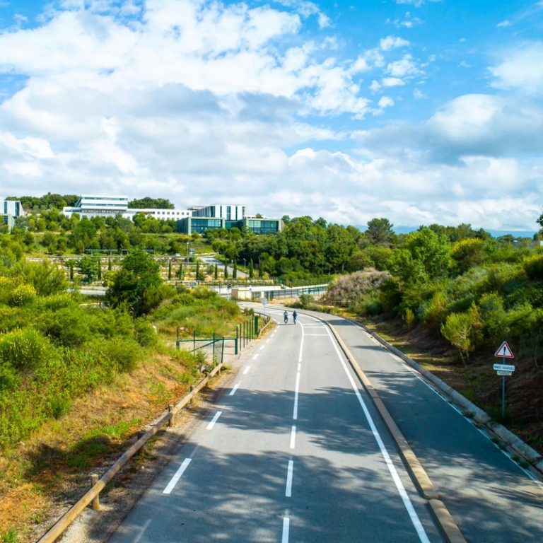 Luxury Recommendation