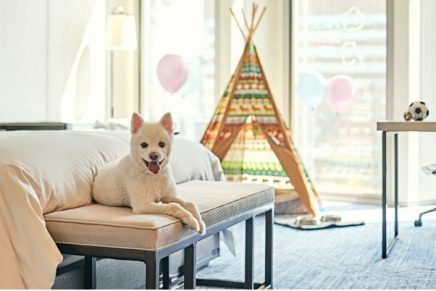 This new hotel package for pets is sure to set tails wagging