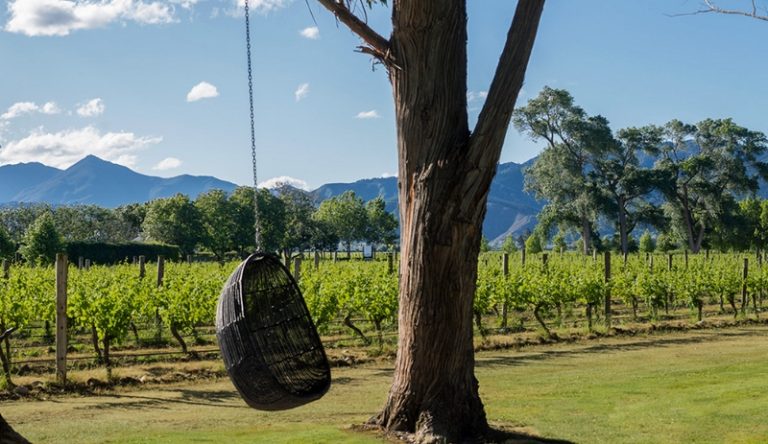 Luxury Recommendation