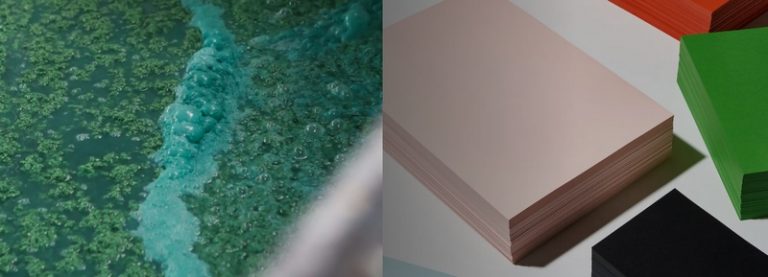 Luxury Recommendation