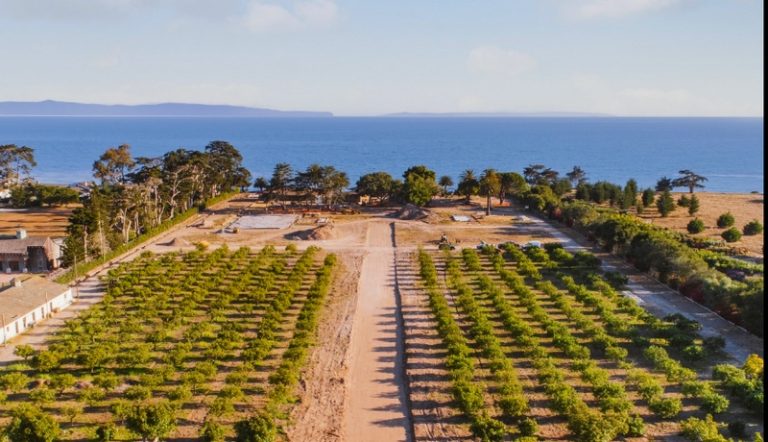 Luxury Recommendation