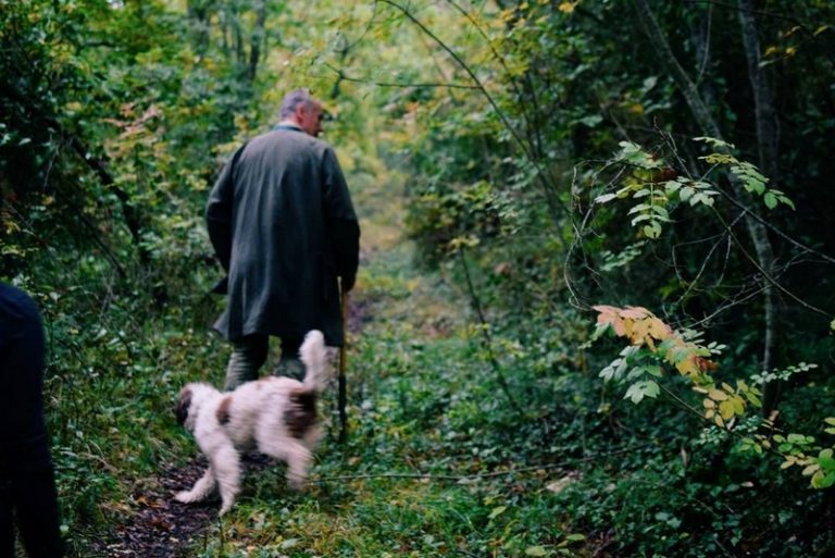 Luxury Recommendation