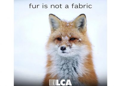 Fur-Free Friday 2021: killing animals for their fur has no place in modern society