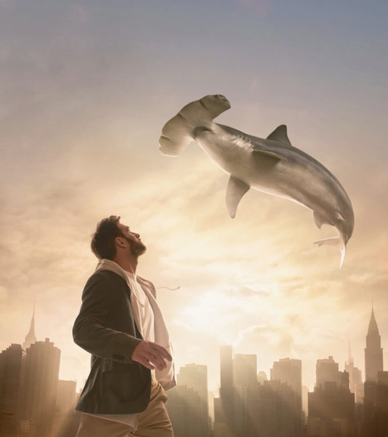 Luxury Recommendation