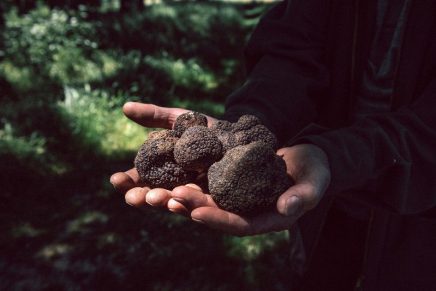 Leading truffle companies continue unearthing new opportunities for sustainability