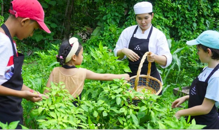 Luxury Recommendation