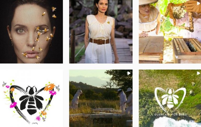 Luxury Recommendation