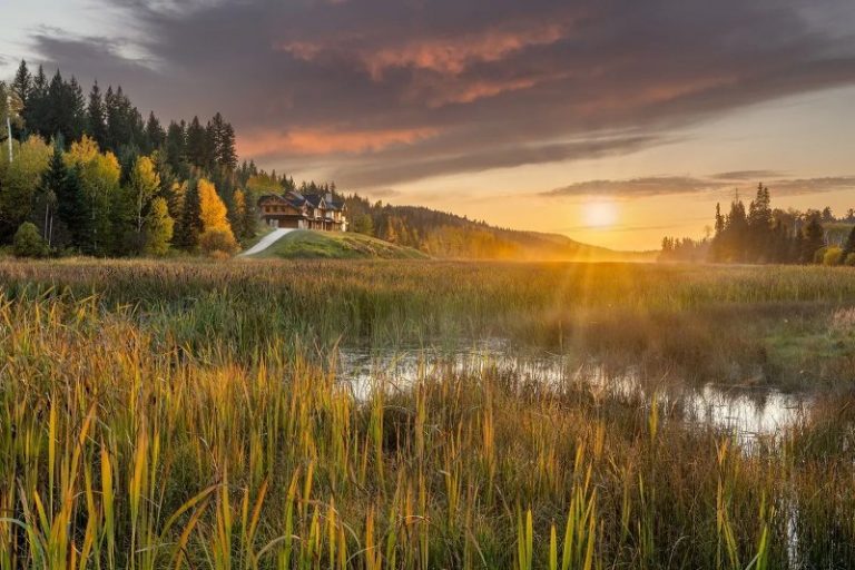 Luxury Recommendation