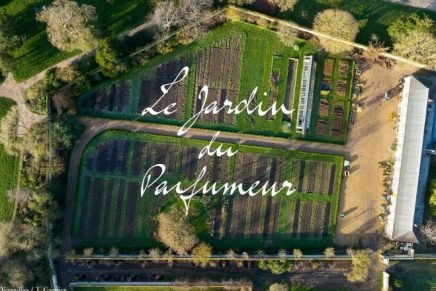 Versailles’ gardeners and Francis Kurkdjian unveil unique Perfumer’s Garden