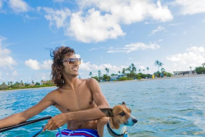 Have Dog, Will Travel: Aruba is aiming to make pet travel easier than ever