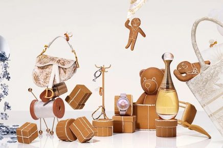 Dior in a gingerbread world