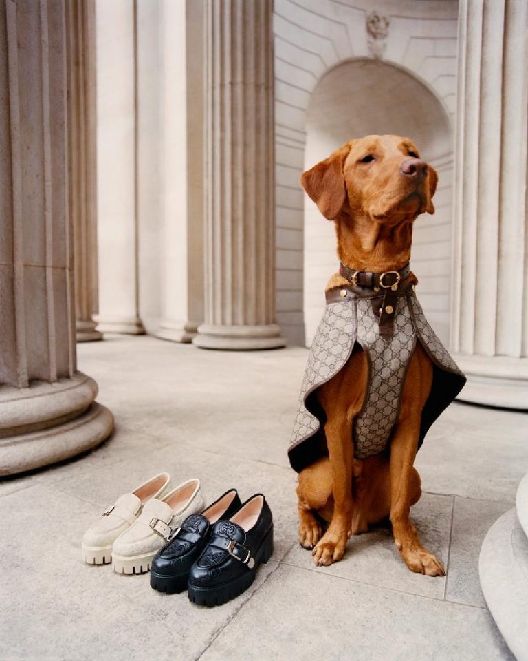 Luxury Recommendation