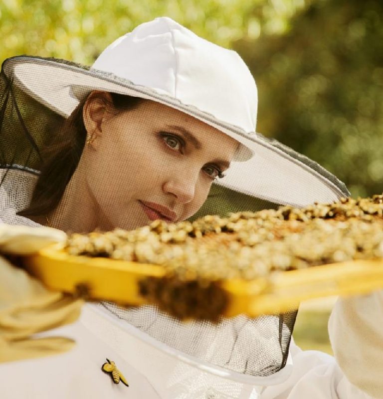 Luxury Recommendation