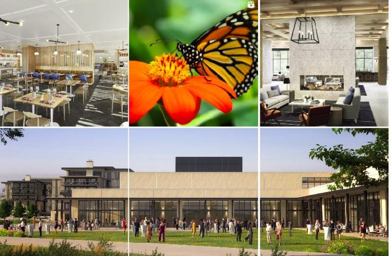 Luxury Recommendation