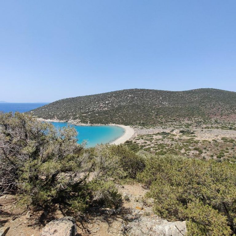 Luxury Recommendation