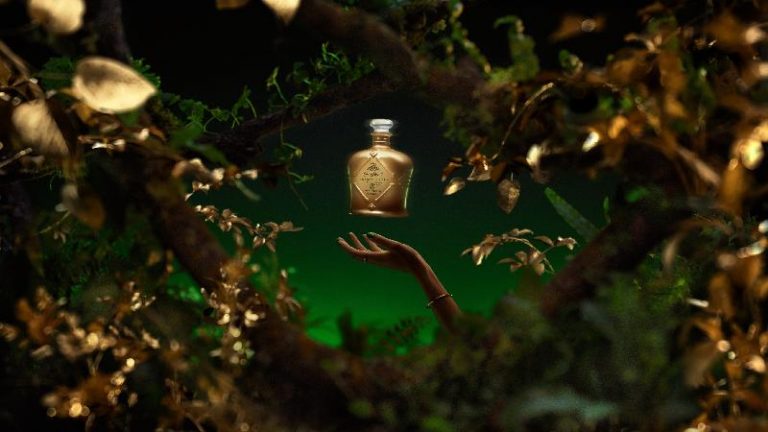 Luxury Recommendation