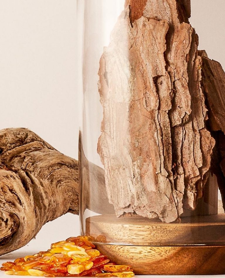 Luxury Recommendation