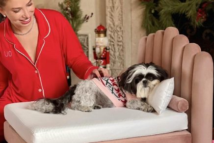 The Luxury Dog Bed That’s Probably Better Than Your Own Bed