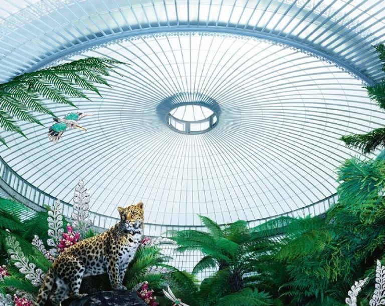 Luxury Recommendation