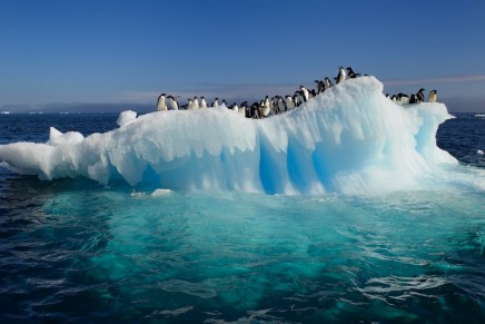 Antarctic ice shelves are melting dramatically, study finds