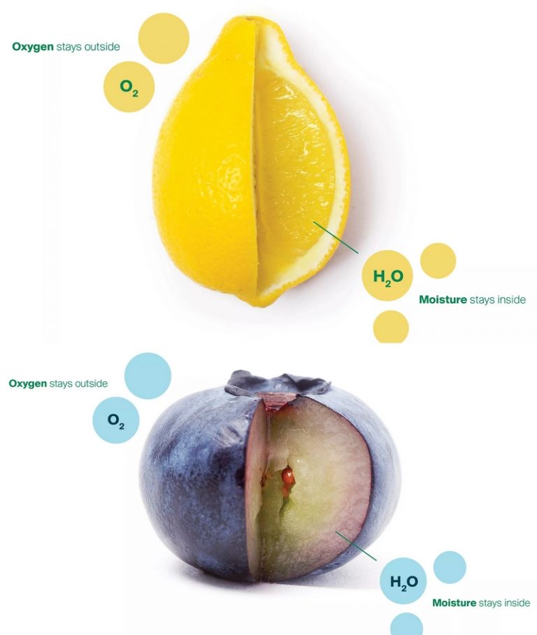 Luxury Recommendation