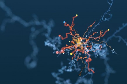 AI equal with human experts in medical diagnosis, study finds