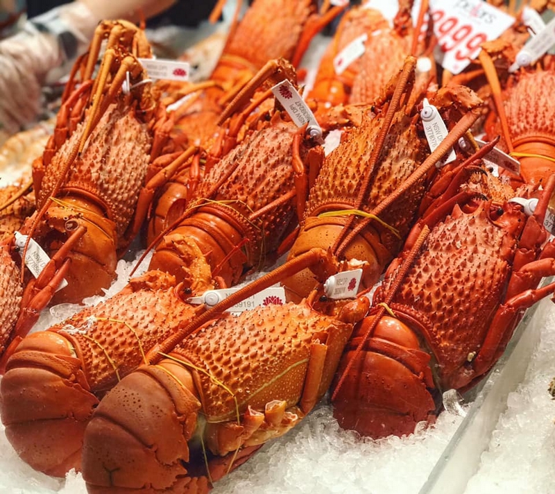 Lobsters Are Being Sold For Just 20 Each In Australia Here S How To Cook One 2luxury2