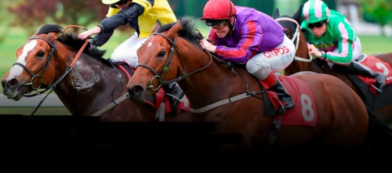 Luxury Recommendation