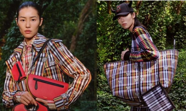 Luxury Recommendation