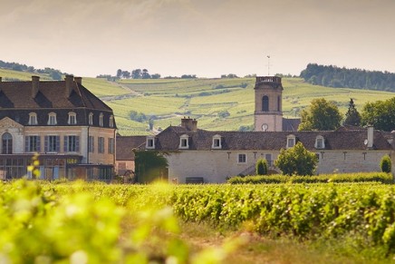 Biodynamic winemaking: Château de Pommard restores Clos Marey-Monge Designation