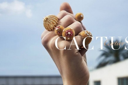 New Cactus de Cartier designs are in full bloom