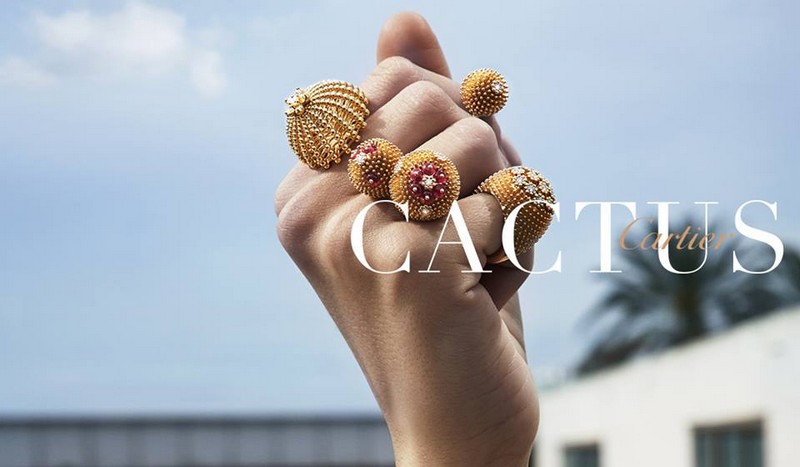 cartier cactus model